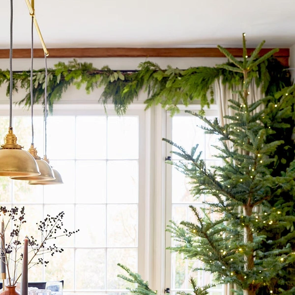 Источник: Сара Лиггориа Трамп