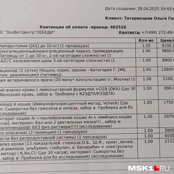 Источник: активисты / MSK1.RU