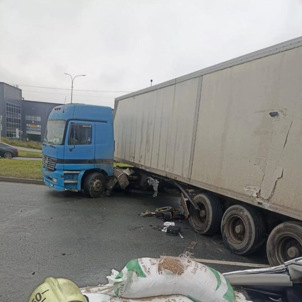 Источник: Петербургская полиция/Telegram