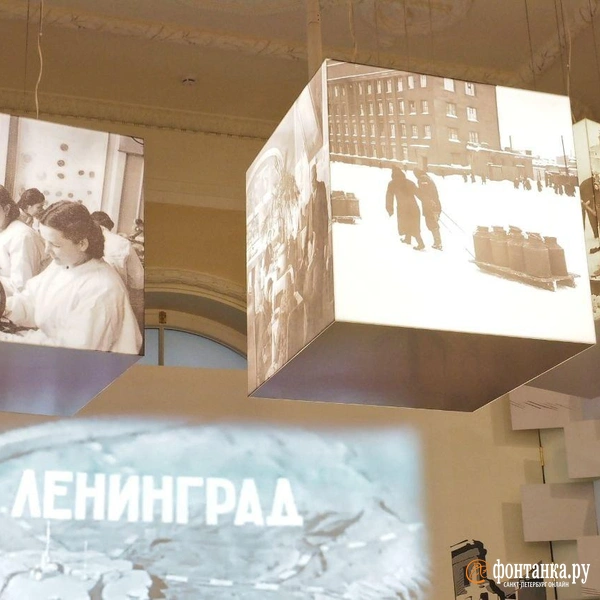 Источник: Михаил Огнев / FONTANKA.RU