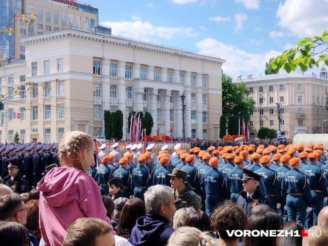Источник: Дмитрий Волгин / Voronezh1.ru