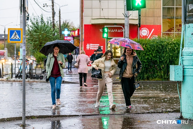 Выходить на прогулку без зонта лучше не стоит | Источник: Олег Фёдоров / CHITA.RU
