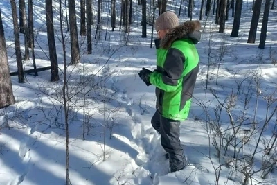 В Арейском парке выросла численность животных из-за подкормки