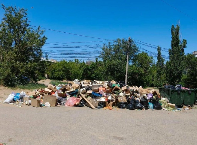 В основном эта огромная и дурнопахнущая груда мусора состоит из испорченных продуктов и картонной тары | Источник: читатели V1.RU