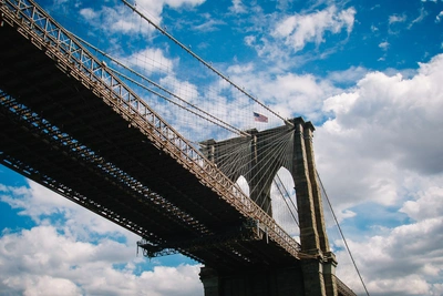 Пиар-кампания Трампа: комментарий депутата Госдумы Чемерис