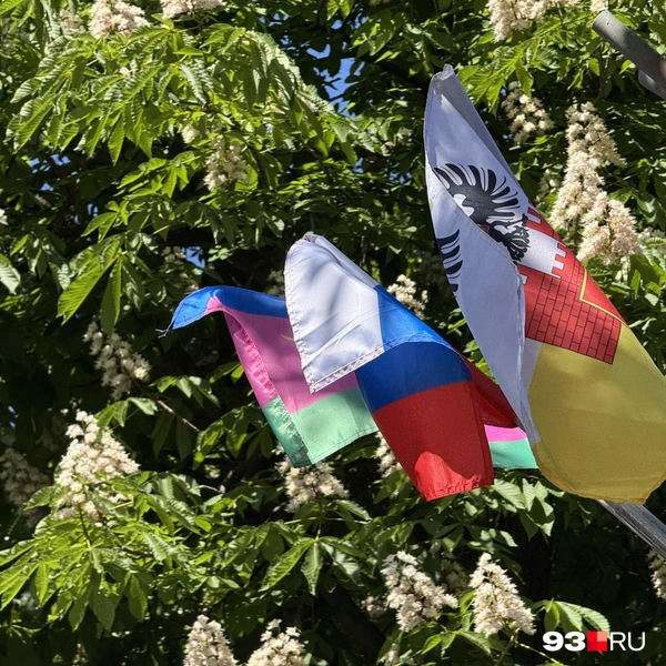 Флаги на улице Октябрьской | Источник: Дарья Паращенко / 93.RU