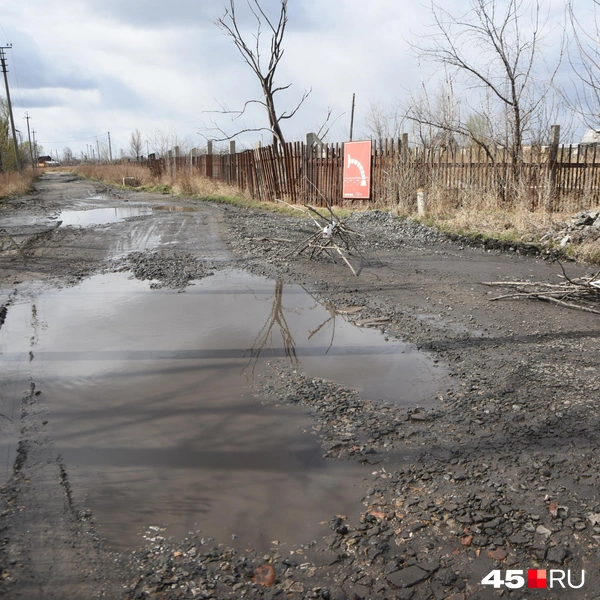 В окрестностях СНТ «Автомобилист» и «Вишенка» | Источник: Надежда Тихомирова