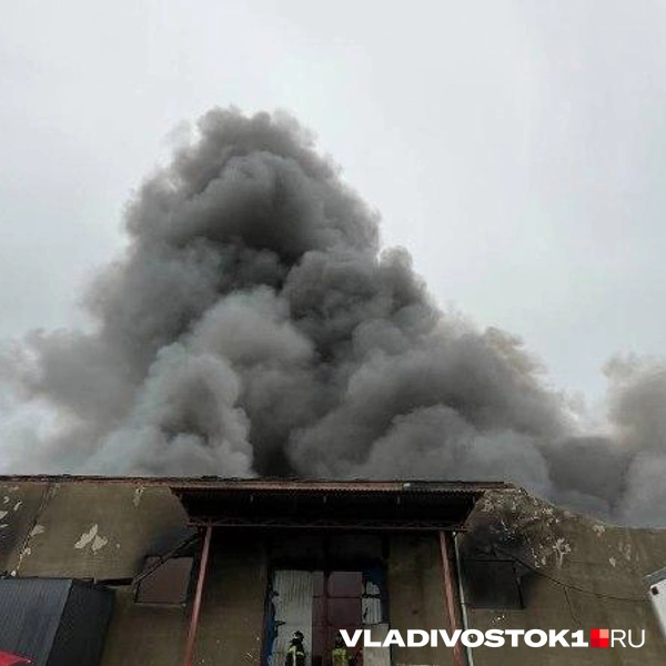 Источник: Елена Буйвол / VLADIVOSTOK1.RU