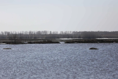 Ситуация с половодьем в Рязанской области на 28 марта