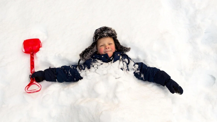 А то сгинут, как Усольцевы: альпинист предложил включить рытье укрытий в снегу в уроки ОБЖ | Источник: SunRay BRI Cattery RU/Shutterstock/Fotodom.ru