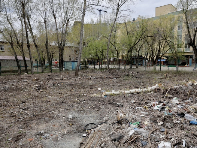 Территорию очищают перед началом стройки | Источник: Наталья Лапцевич