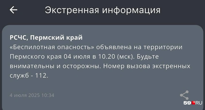 РСЧС&nbsp;— Единая государственная система предупреждения и ликвидации чрезвычайных ситуаций | Источник: скриншот сообщения