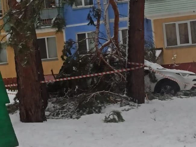 В управляющей компании не смогли прокомментировать произошедшее | Источник: читательница НГС