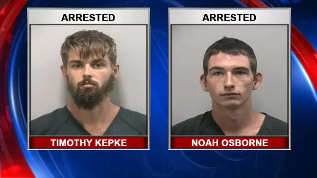 Во Флориде двух парней арестовали за попытку споить аллигатора