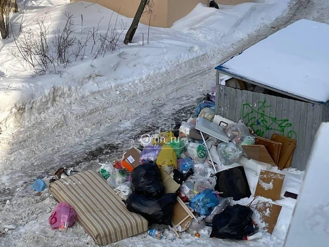 Другой двор на улице Заломова, где мусор складируют рядом с переполненными баками. | Источник: читатель NN.RU