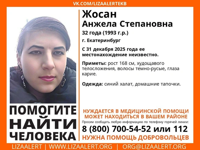 Источник: предоставлено отрядом «Лиза Алерт»