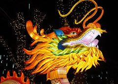 Россыпь фонариков, гигантские драконы: Москва впервые встречает китайский Новый год