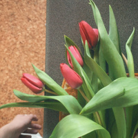 Аватарка sony(ik)