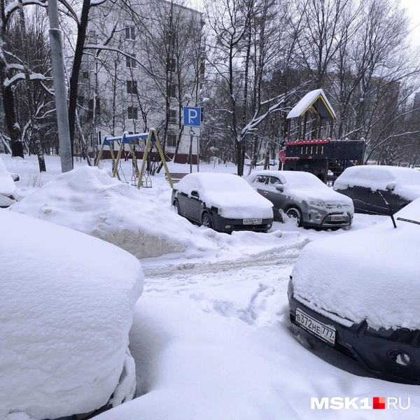 Источник: Арина / читательница MSK1