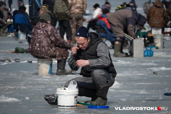 Источник: Елена Буйвол / VLADIVOSTOK1.RU