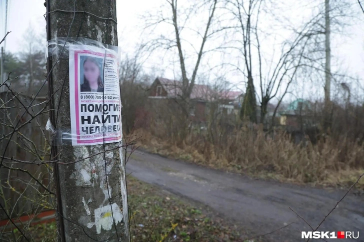 Листовки с информацией о пропавшей Марии были расклеены по всему СНТ «Звезда», где орудовал убийца | www.starhit.ru