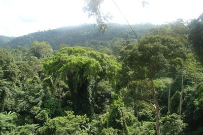 Отпуск в Таиланде под угрозой из-за долга перед женой