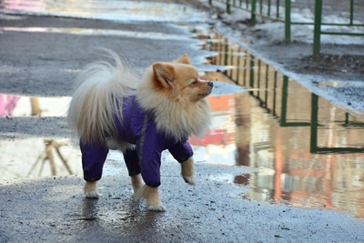 В Иркутске 8 Марта ожидается теплая и облачная погода