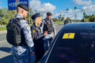 Десятки машин должников уйдут с молотка в Псковской области