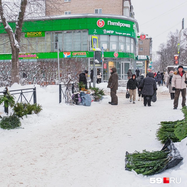 У площади Дружбы летом продают овощи и фрукты, а в конце декабря&nbsp;— елки | Источник: Тимофей Калмаков / 59.RU