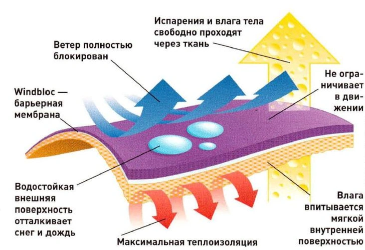 Как устроена мембранная ткань и в чем заключаются ее преимущества и недостатки?