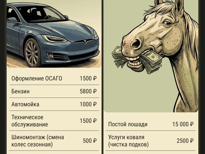 Смотрим, что дешевле | Источник: Мария Романова / Городские медиа