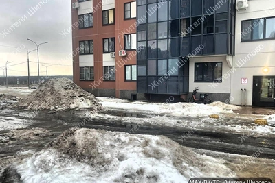 Воронежские УК лишают лицензий за плохую уборку дворов