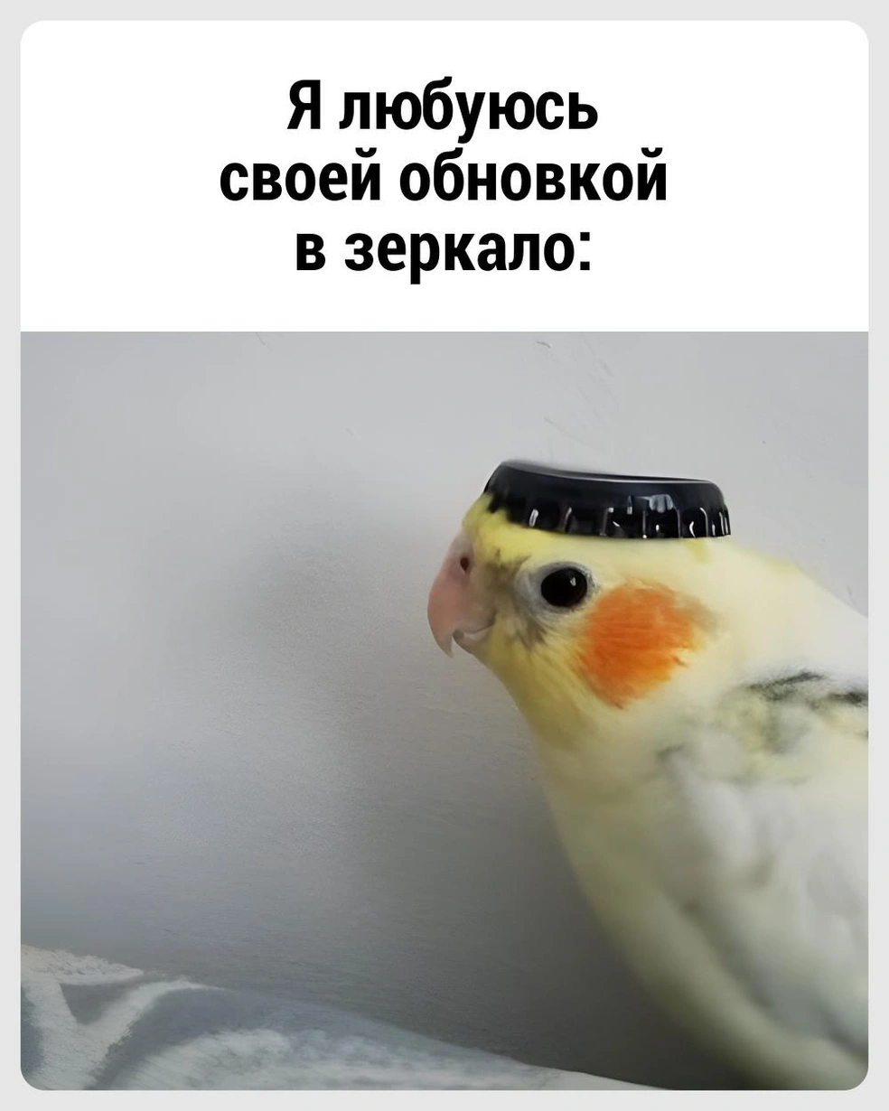 Что за красота! | Источник: Городские медиа