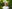 Фото №37 - Короли и шуты: гости Royal Ascot 2017, день 2