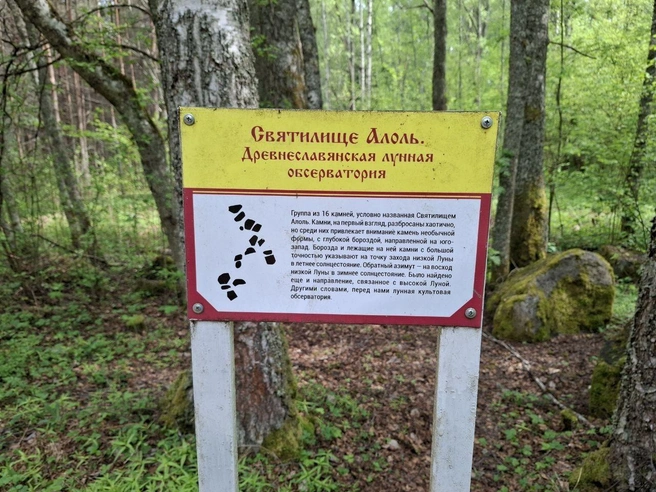 У дороги, неподалеку от турбазы «Алоль», первым был обнаружен древний календарь из 16 камней | Источник: Ирина Багликова