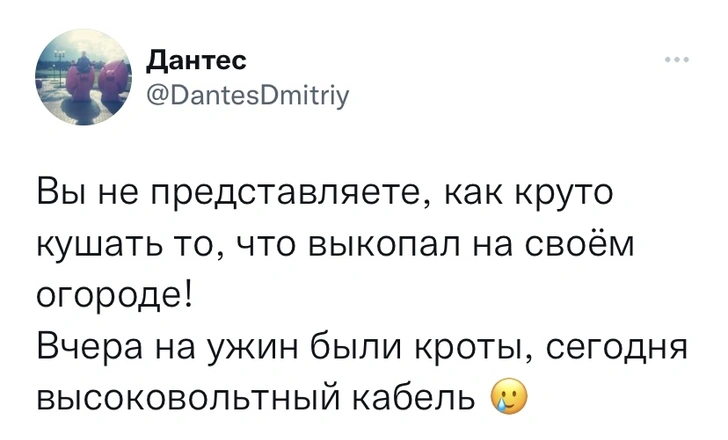 Шутки четверга и ментовселенная