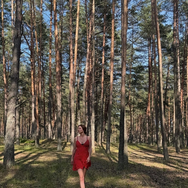 Источник: Соцсети