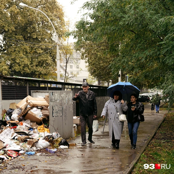 Источник: Дарья Паращенко / 93.RU