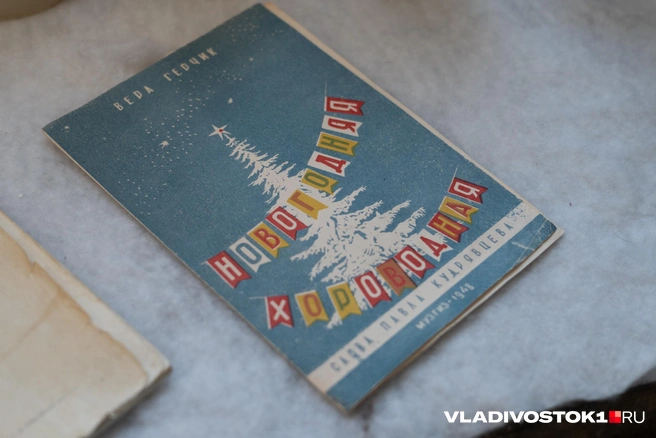 Источник: Елена Буйвол / VLADIVOSTOK1.RU