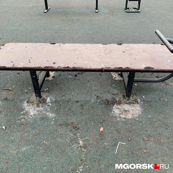 Источник: Анна Лялькова / MGORSK.RU