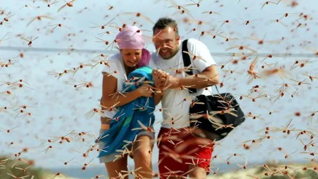 10 самых поразительных пляжей на Земле