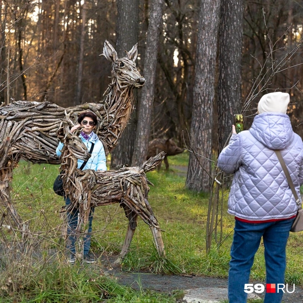 И оленье семейство | Источник: Василина Любимова / 59.RU