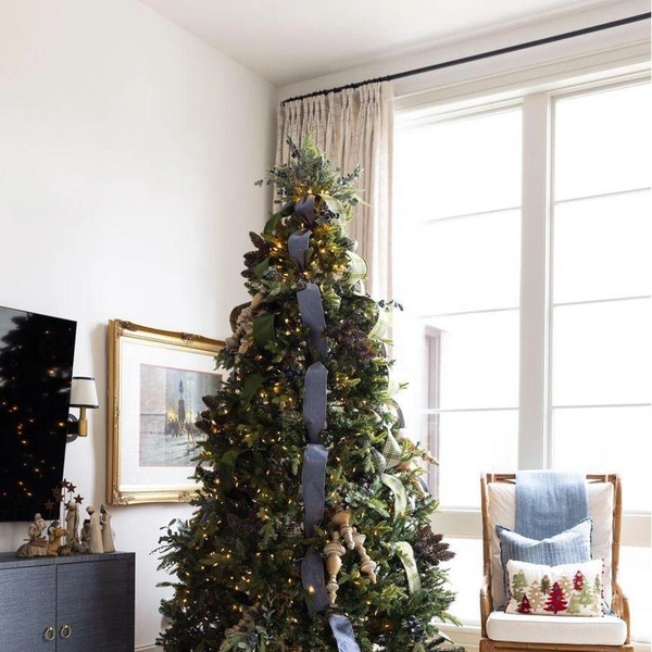 Источник: Кейтлин Лейс