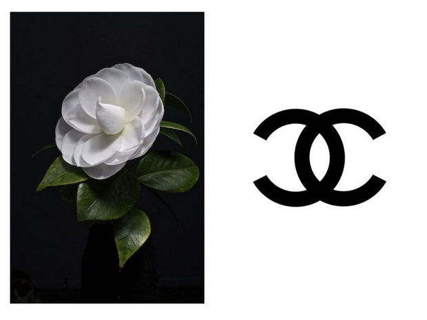 Фото №1 - Райские сады в Париже: «зеленый» показ Chanel
