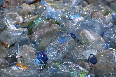 Власти Ростовской области о решении мусорных проблем