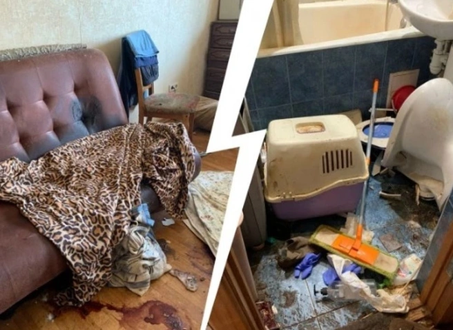 В Екатеринбурге собаки и кошки в квартире две недели питались телами хозяев | ya62.ru