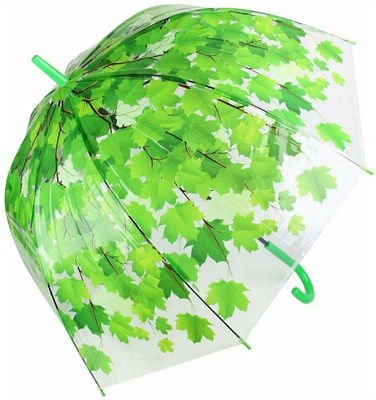 Зонт листва