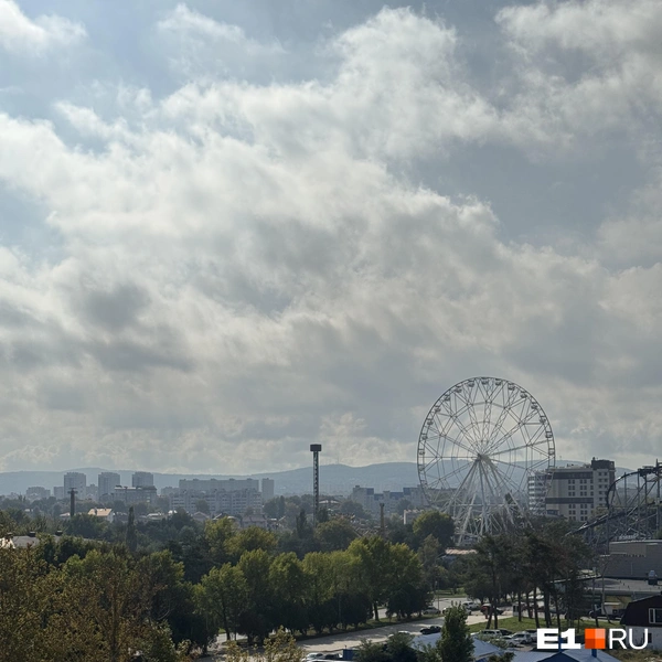 Он перебрался туда весной | Источник: Альберт Карипов