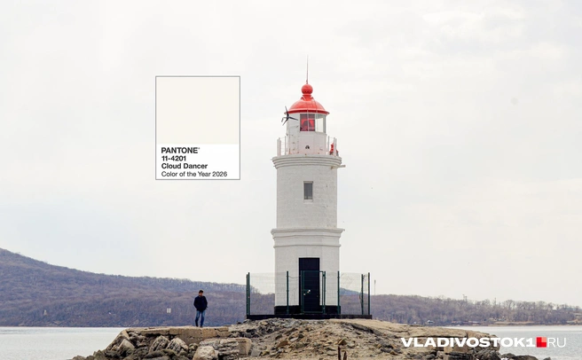 Источник: Елена Буйвол / VLADIVOSTOK1.RU