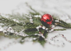 «Время крупных политических авантюр и мошенников»: гороскоп на декабрь для всех знаков зодиака от Тамары Глобы